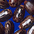Photo of castor beans.