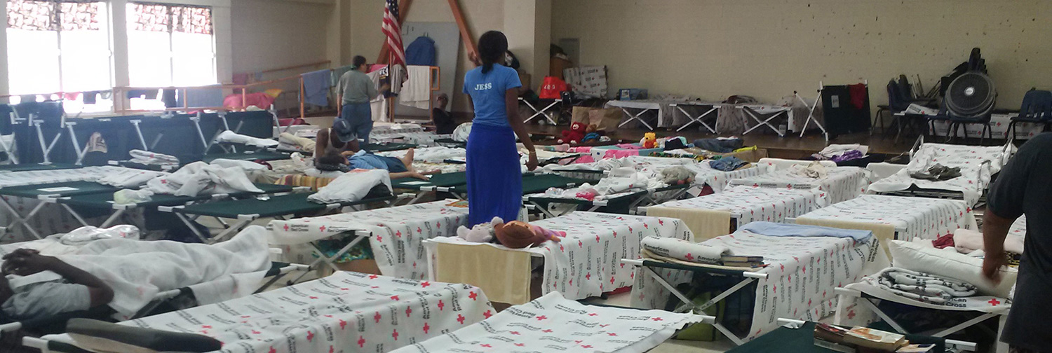 Bunk room for an emergency shelter set up during Hurricane Irma in 2017—Cots are set up in neat, organized rows with blankets and pillows laying on top. A few cots have individuals’ personal items tucked neatly below.
